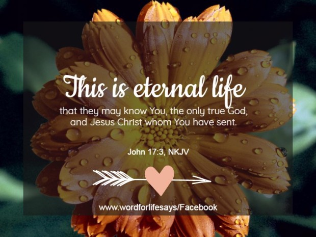 this-is-eternal-life-john-17-3